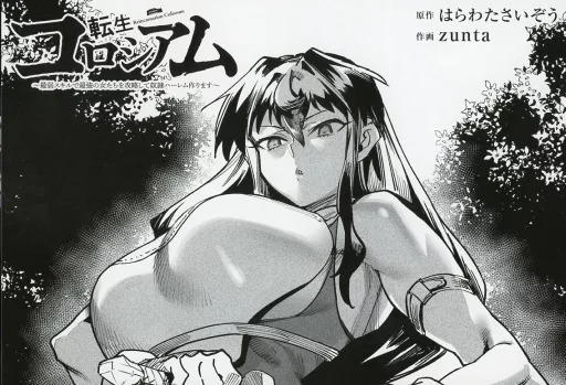 Reincarnation Coliseum Combat System