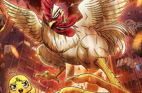 Rooster Fighter Quest