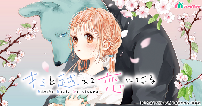Kimi to Koete Koi ni Naru Romance Story